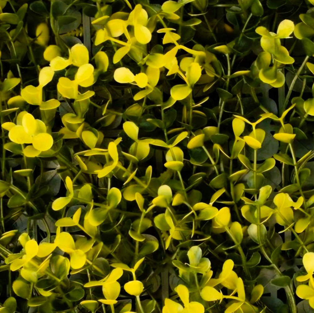 Arrayán Amarillo – Panel de Follaje Artificial 1x1 m