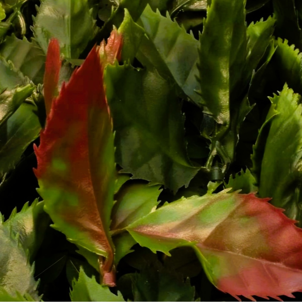 Hoja de Naranjo – Panel de Follaje Artificial 1x1 m