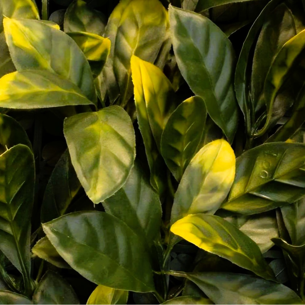 Laurel Europa – Panel de Follaje Artificial 1x1 m