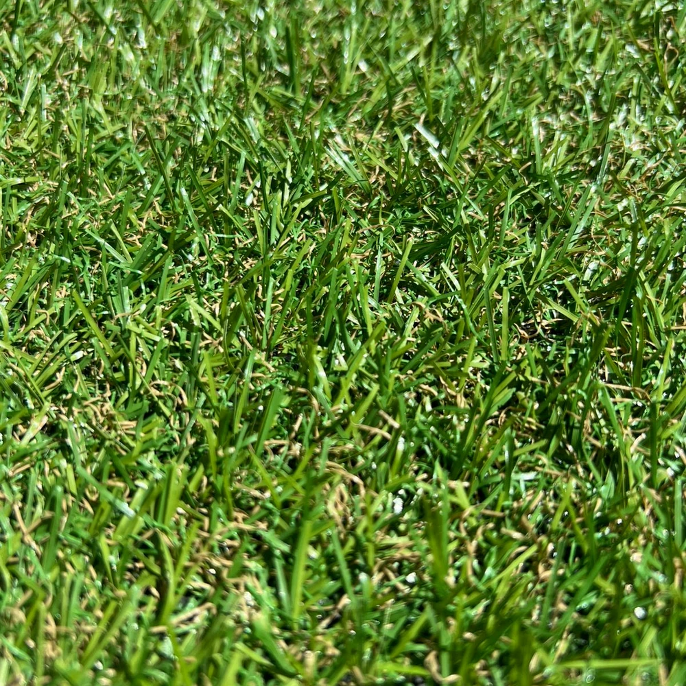 Pasto Toscana – Césped Artificial 18mm Residencial