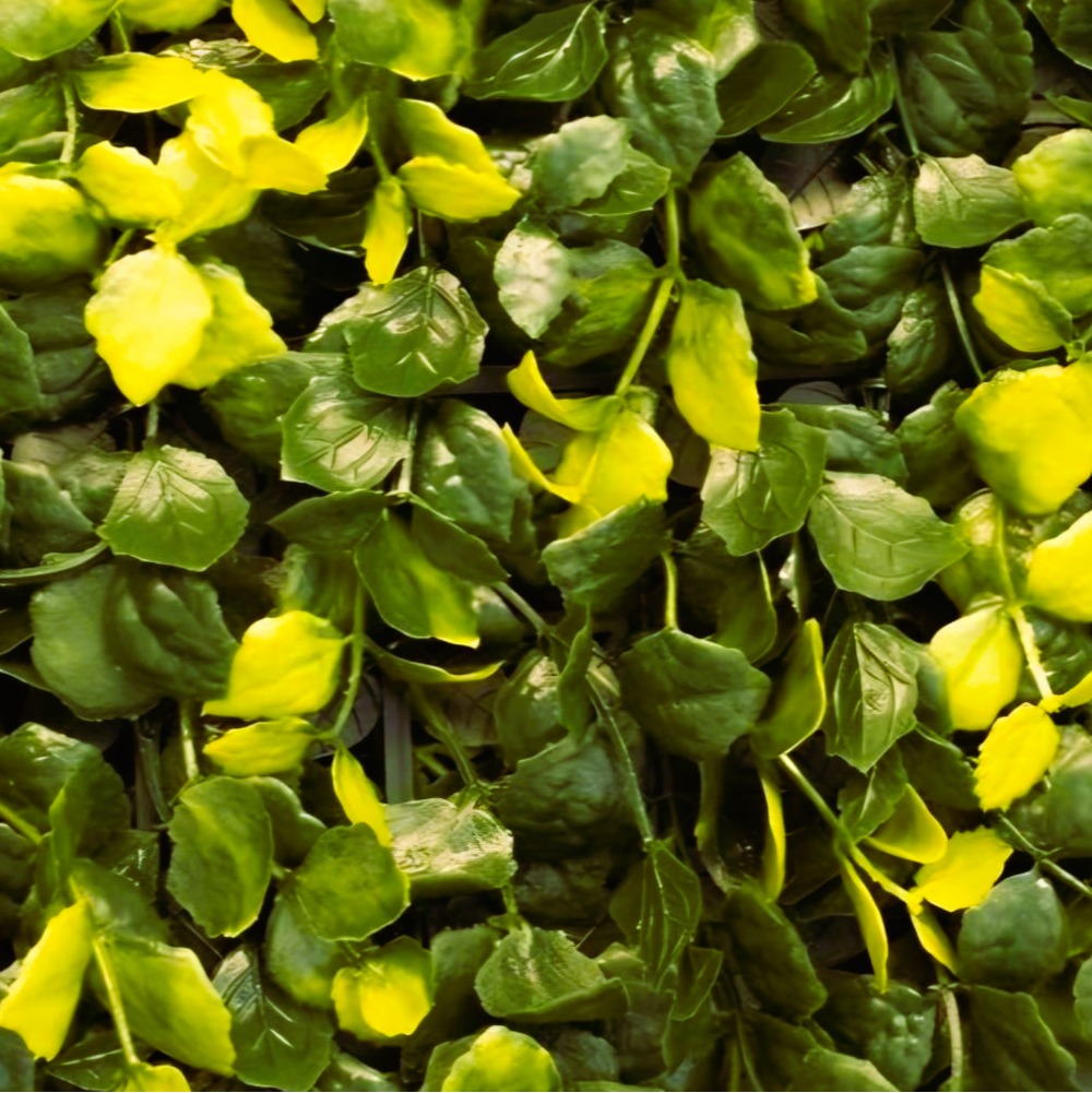 Selva – Panel de Muro Verde Artificial 1x1 m