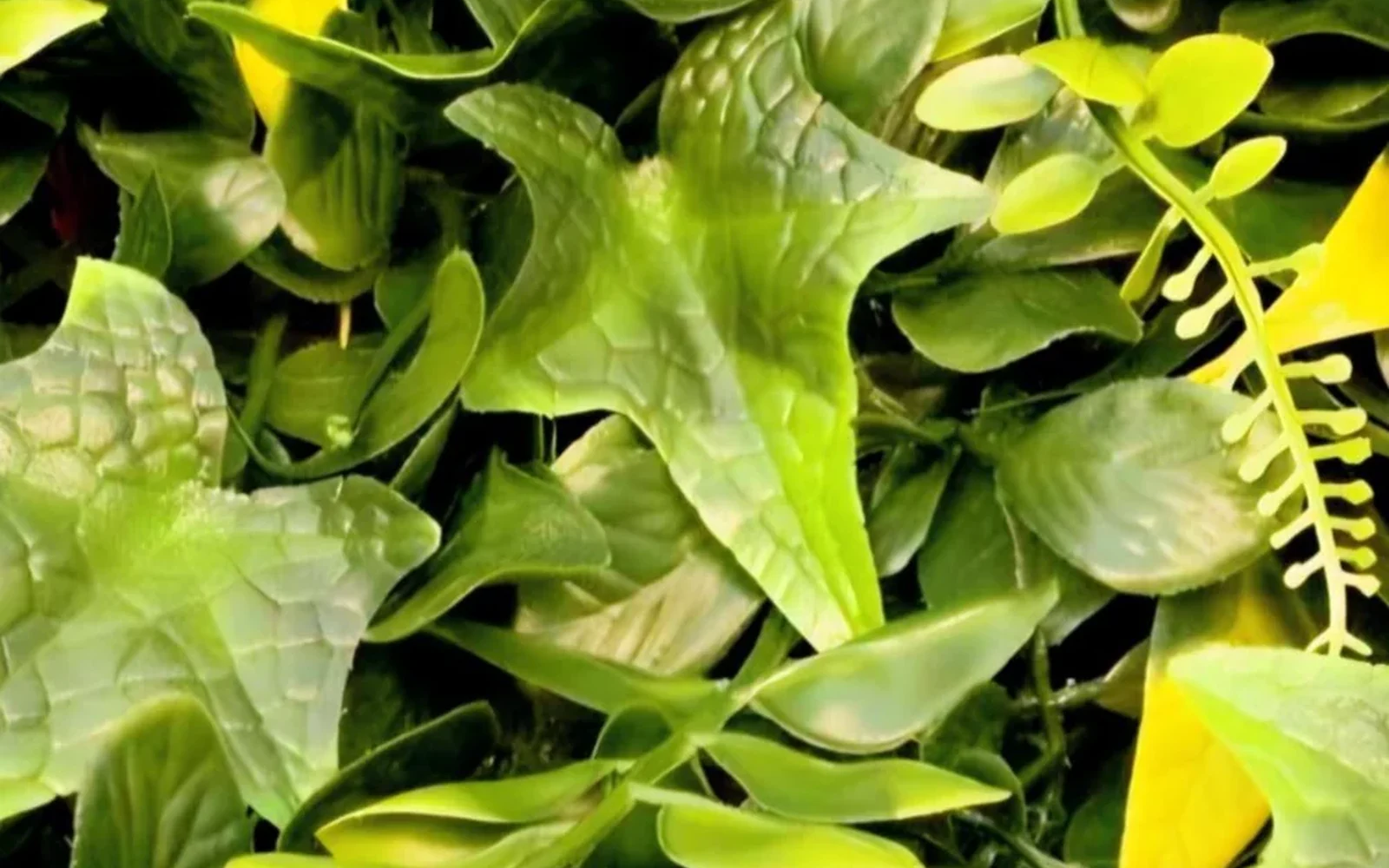 Amazonas – Panel de Muro Verde Artificial 1x1 m