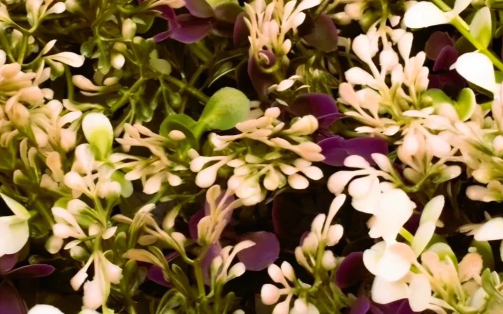 salvia-lila-panel-follaje-artificial