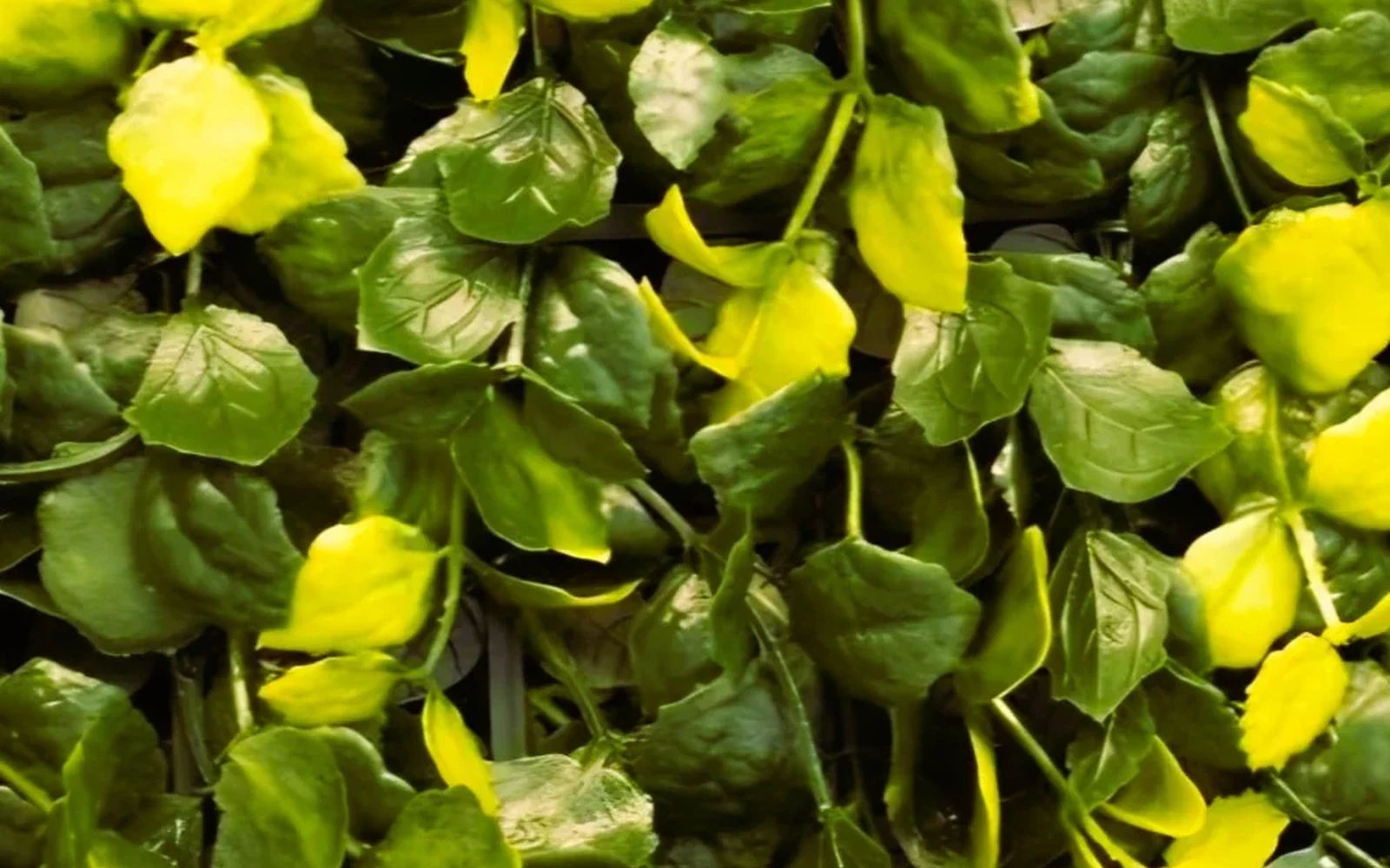selva-panel-muro-verde-artificial