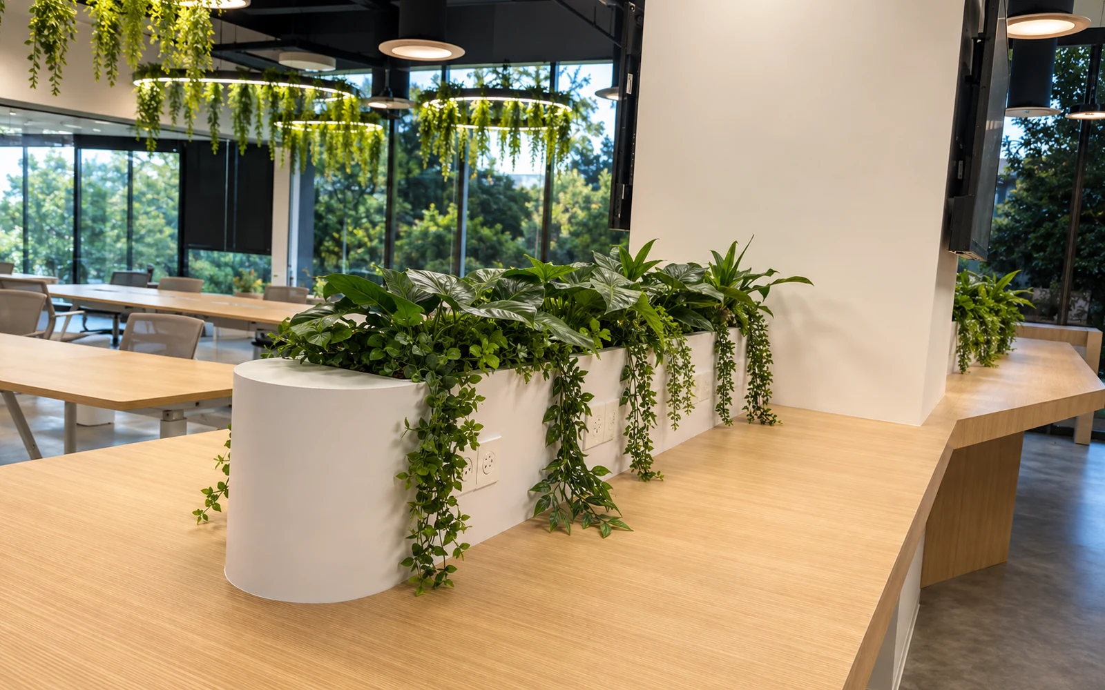 Plantas Artificiales · Imagen principal